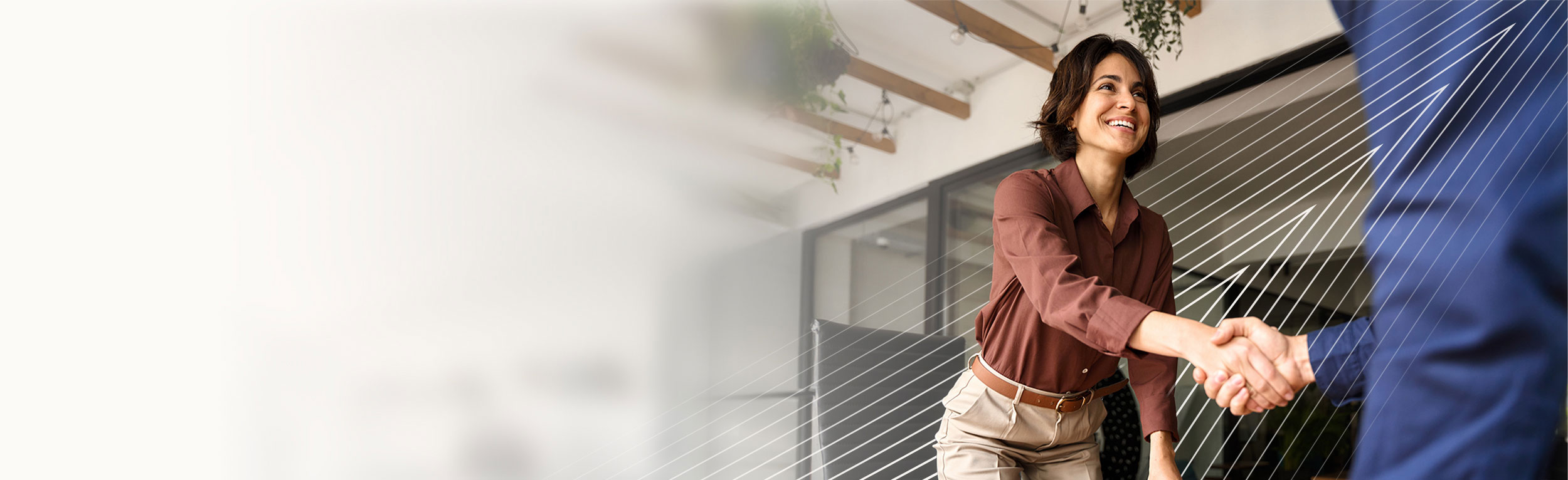 the-bob-program-header